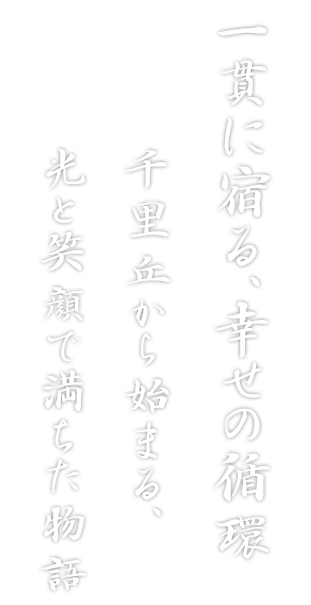鮨処 池上